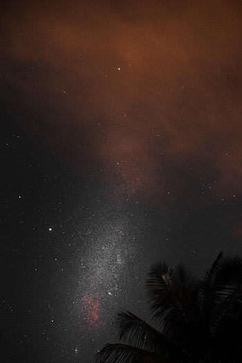 Nature, Stars, Night, Starry Sky, Palm, Nebula HD phone wallpaper