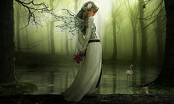Fairy Forest, wings, peaceful, serene, Fairy, fantasy, magical, green, dreamy, water, lovely, forest HD wallpaper