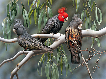 GANG GANGS, females, male, trio, tree HD wallpaper