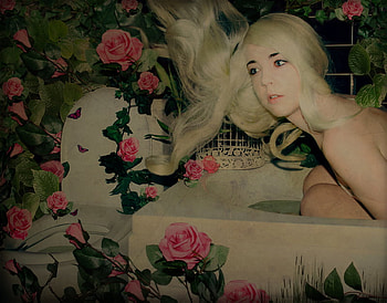 Roses Bath for My Friend Anamaria (MissAna), models, people, bath, female HD wallpaper