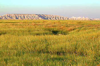 Characteristics of grassland, Grassland biomes, Characteristics biomes, Biomes HD wallpaper