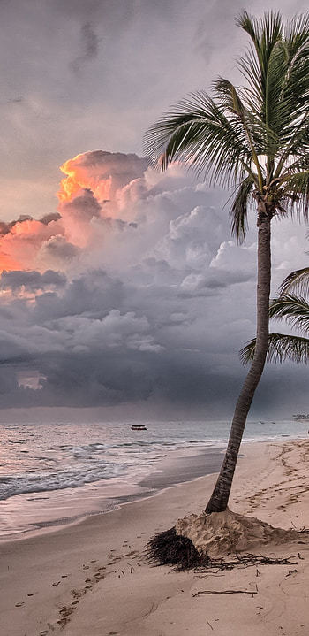 Beach summer ocean, Tropical Samsung Galaxy HD phone wallpaper