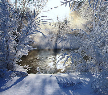 Frozen beauty, winter, shadows, snow, cold, trees, water, sun rays HD wallpaper
