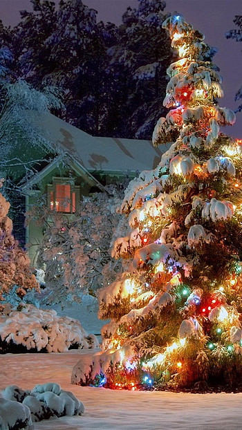 Christmas, Christmas, Tree HD phone wallpaper