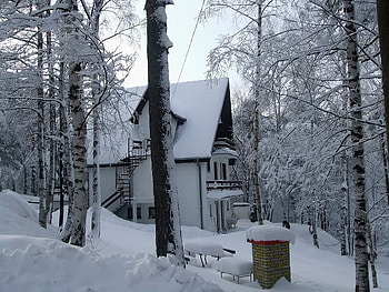 A Quiet Place to Live, winter, trees, snow, house HD wallpaper