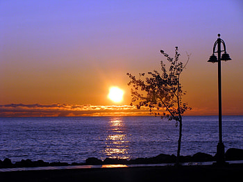 Another day, golden, pathway, beautiful, lamp post, sunrise, tree, beach, blue water, reflection, couds, water, evening, sunset HD wallpaper