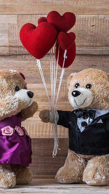Teddy Wale, Couple Teddy HD phone wallpaper