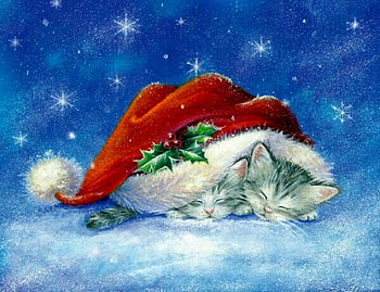 Christmas Kittens, Abstract, Christmas, Hat, Fantasy, Kittens HD wallpaper
