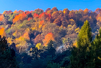 Peisaj de toamna, ser, ger, cer, aer HD wallpaper