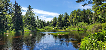 Peace, Maine, Forest, Stream HD wallpaper