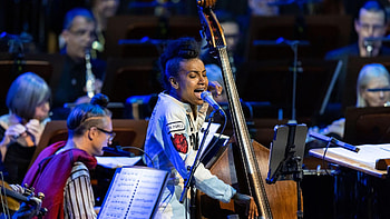 San Francisco Symphony, Esperanza Spalding HD wallpaper