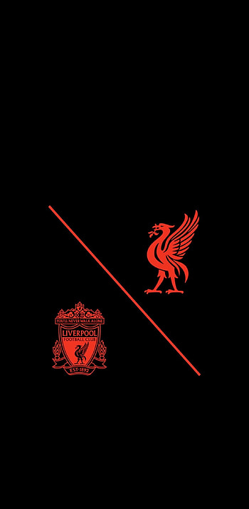 Liverpool FC, 2021 , Reds' passion, Football excellence HD phone wallpaper
