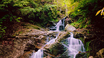 Beautiful Waterfall Scenery Forest Nature Background Trees Stones Rocks Nature HD wallpaper