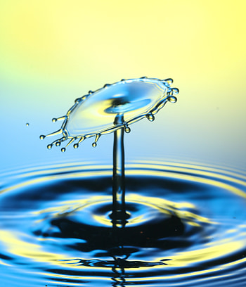 Water, Drops, Macro, Splash HD phone wallpaper