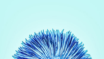 3d Render Flower , artist, artwork, digital-art HD wallpaper