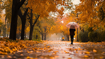 Autumn Serenity: A Ultra for Fall Weather Bliss, fall weather, Autumn, leaf, umbrella, walking HD wallpaper
