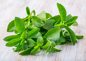Stevia, Stevia vs saccharin, Food HD wallpaper