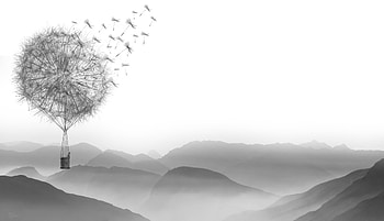 Dandelion Air Balloon, dandelion, air-balloon, artist, artwork, digital-art, monochrome, black-and-white HD wallpaper