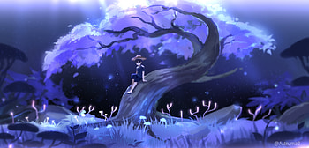 video game, Genshin Impact HD wallpaper