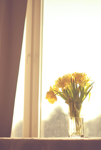 Flowers, Shine, Light, Bouquet, Window, Vase HD phone wallpaper