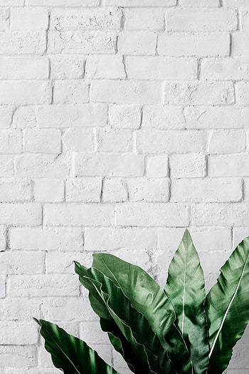 White brick, Minimalist design, , Modern aesthetic HD phone wallpaper