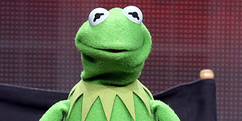 Kermit the Frog, New girlfriend, Frog's new relationship HD wallpaper
