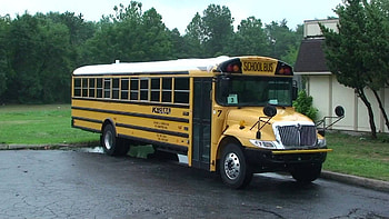 Yellow School Bus, Yellow, Bus, School, Transport HD wallpaper