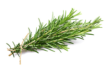 Rosemary floral water, Essential oils, Norfolk essential, Floral water HD wallpaper