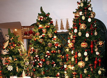 Holidays, New Year, Decorations, Fir-Trees, Christmas, Holiday, Three HD wallpaper