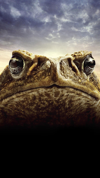 Cane Toads: The Conquest (2022) movie HD phone wallpaper