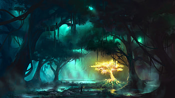 Fantasy Forest HD wallpaper