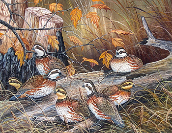 Birds Group, birds, painting, plants, animals HD wallpaper