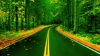 The Green Road Gallery, 3D Road HD wallpaper