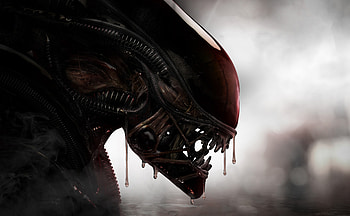 Aliens Xenomorph Creature , alien, creature, artist, digital-art HD wallpaper