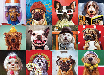 :D, dog, funny, collage, caine HD wallpaper