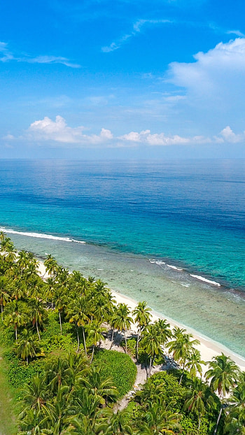 Earth's Hawaiian gem, Natural marvels, Exotic beauty, Locales of wonder HD phone wallpaper