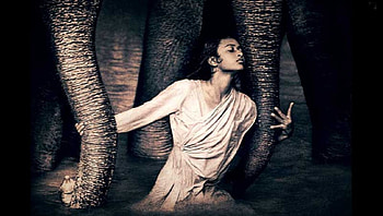 Love To Elephant, elephants, abstract, 3d, man, love, elephant HD wallpaper