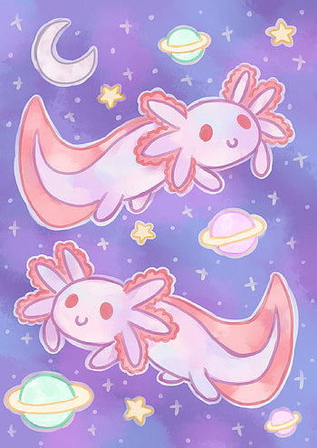 Pink axolotl, cute HD phone wallpaper
