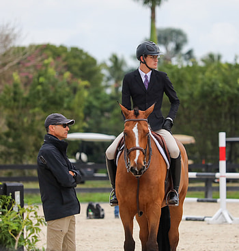 Equitation sports, The plaid horse magazine, Andres take, Learn HD phone wallpaper
