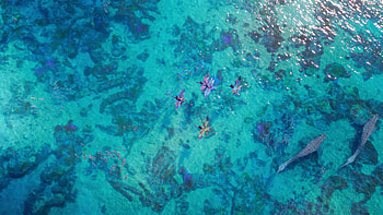 Avatar 2: The Way of Water -, ocean, water, Avatar: The Way of Water HD wallpaper