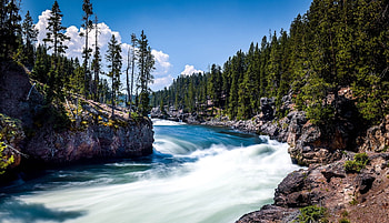 Beautiful Flowing Forest River, Rocks, Trees, Rivers, Nature, Forests HD wallpaper