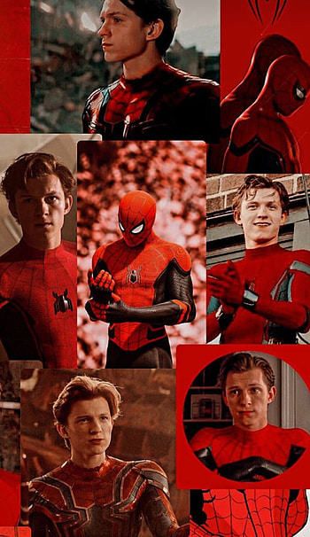 Tom Holland, Spiderman HD phone wallpaper