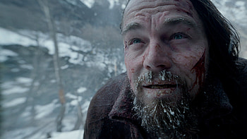 The Revenant , Movie collection, Stunning , High-quality HD wallpaper