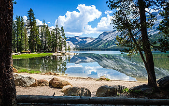 Tenaya Lake, California, America, trees, Yosemite, mountains, rocks, lake HD wallpaper