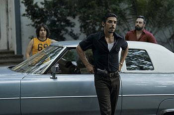 Griselda 2024 TV Show, TV Show, Griselda (2024) HD wallpaper