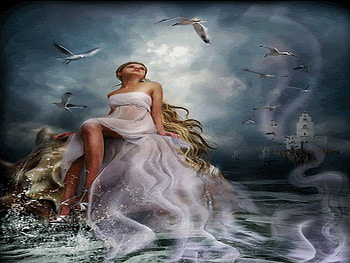 save me, night, island, seagull, lonely HD wallpaper
