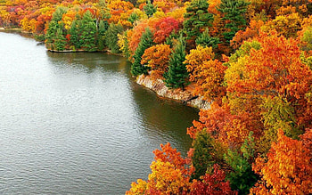 autumn in new york, state, autumn, my, new, york, home HD wallpaper