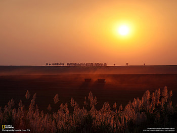 Red Sunset, field, red, nature, sun, sunset HD wallpaper
