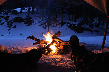 Bonfire, winter, fire, forest, snow HD wallpaper