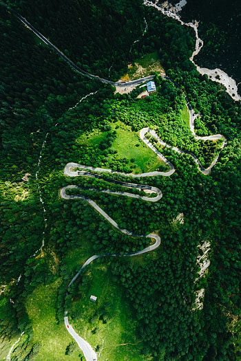 Nature, View From Above, Road, Forest, Sinuous, Winding HD phone wallpaper